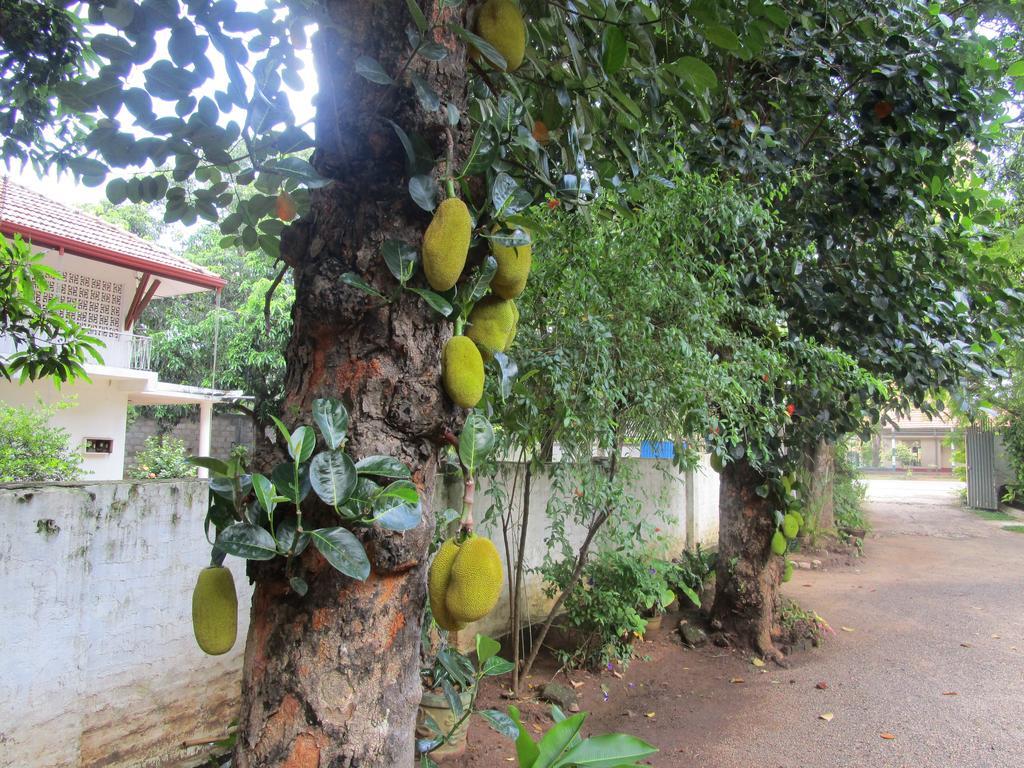 Hotel Shalini Anuradhapura Buitenkant foto